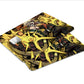 AnimeTown Credit Card My Hero Academia Katsuki Bakugo Window Skins - Anime My Hero Academia Skin