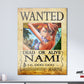 Anime Town Creations Metal Poster One Piece Nami Wanted Poster 11" x 17" Home Goods - Anime One Piece Metal Poster